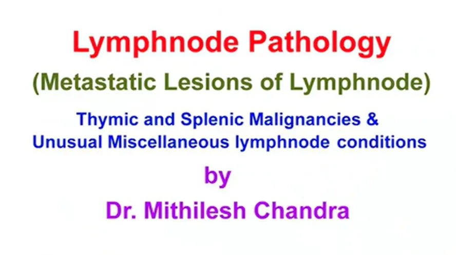 8 Lecture Videos On Lymph Node Pathology For Beginners Pathlete Org 8 Lecture Videos On Lymph Node Pathology For Beginners Pathlete Org